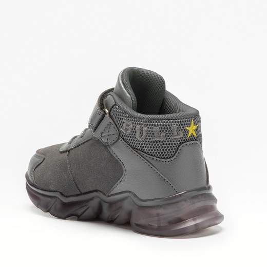 Bull Boys DNAL3391