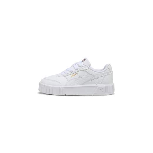 Puma 403747