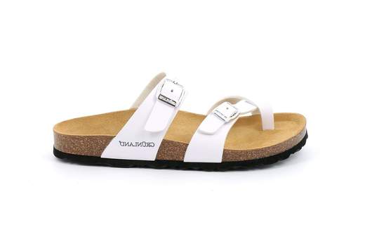 Grunland CB4322-40