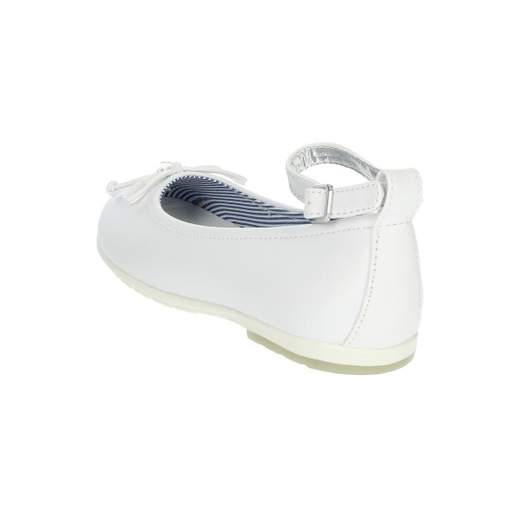 Asso AG-13105