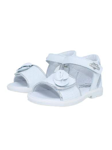 Balducci CITA4704