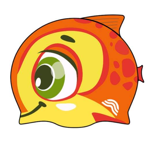 AQUARAPID KAS/NEW