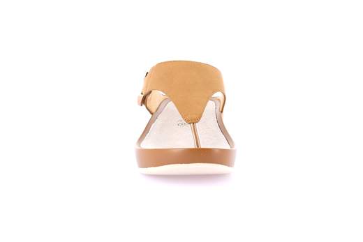 Grunland CI2578-C9