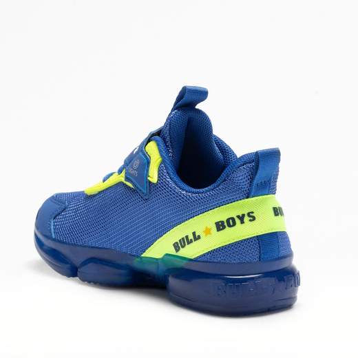 Bull Boys DNAL4506