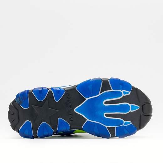Bull Boys DNAL4551