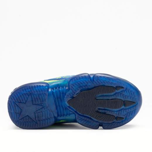 Bull Boys DNAL4506