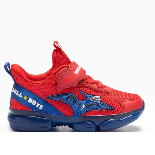 Bull Boys DNAL4506