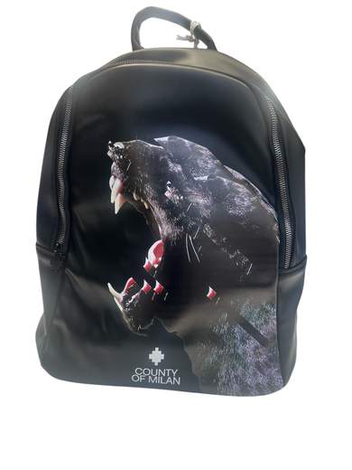 COUNTY OF MILAN COMAS260314