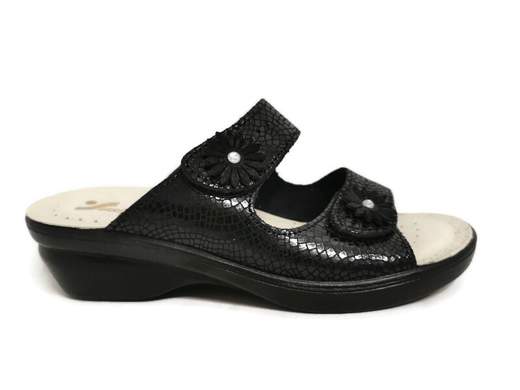 Susimoda 1698