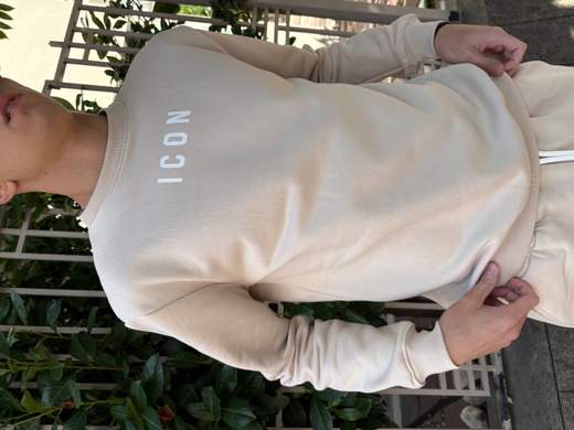 Icon F006