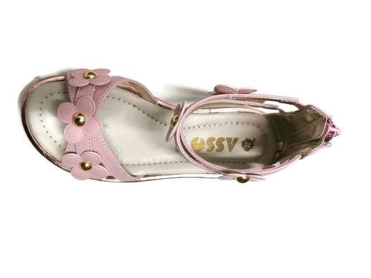 Asso AG-13524/22