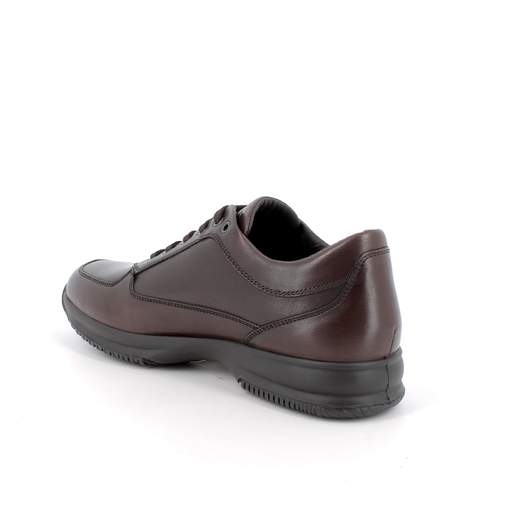 Igi&Co Traveltime AI26