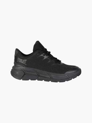 Everlast EV-80