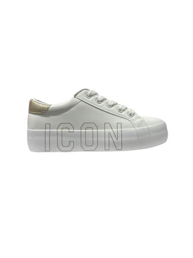 Icon IC05233