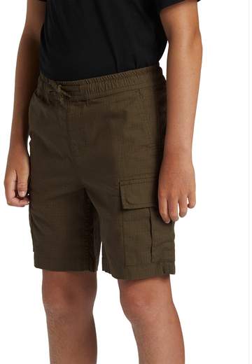 Quiksilver Taxer Cargo Youth SS24