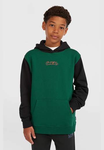 Oneill Fwc'play Hoodie W25