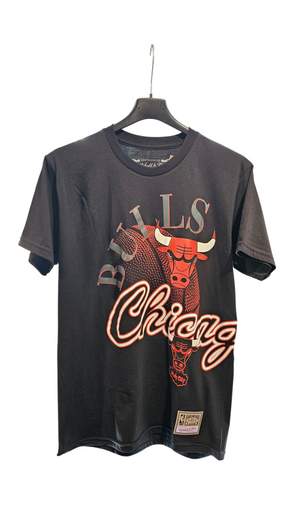 Mitchell & Ness Nba Maxed Out Tee