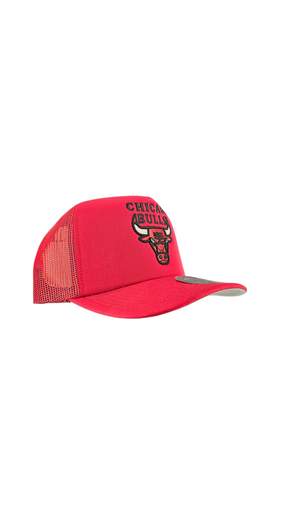 Mitchell & Ness Nba Evergreen Trucker