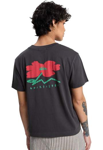 Quiksilver Standard SS Tee SS26