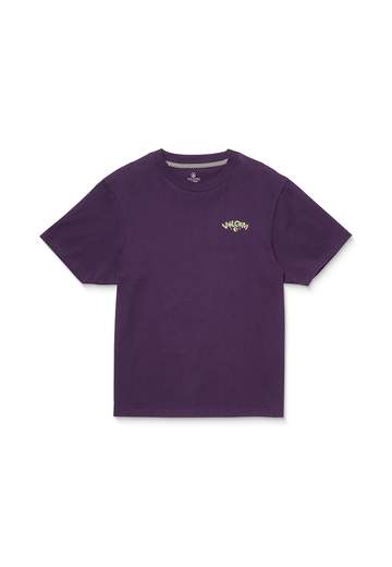 Volcom Radical Daze Up SS25