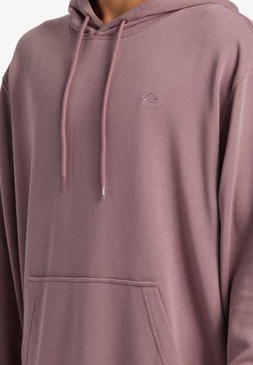 Quiksilver Salt Water Hoodie W24