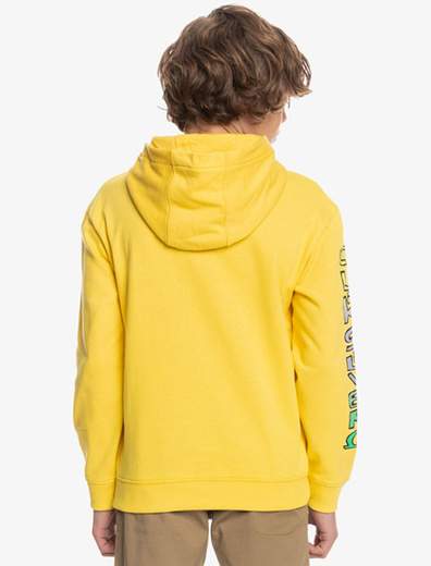 Quiksilver Radical Times Hood Youth