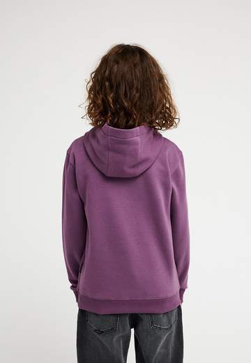 Quiksilver Omni Logo Hoodie Youth W26