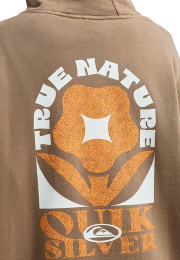 Quiksilver Standard Hoodie W26
