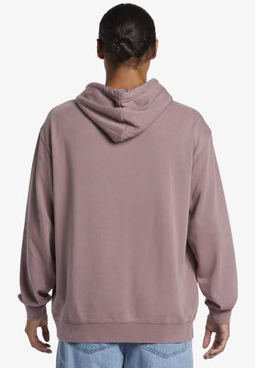 Quiksilver Salt Water Hoodie W24