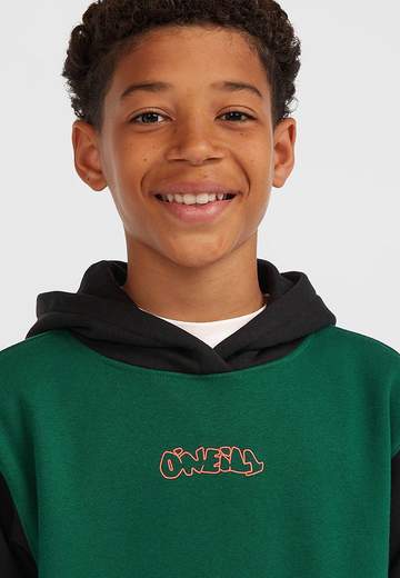Oneill Fwc'play Hoodie W25