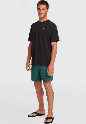 Oneill Small Logo T-Shirt SS26