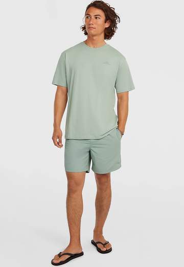 Oneill Small Logo T-Shirt SS26