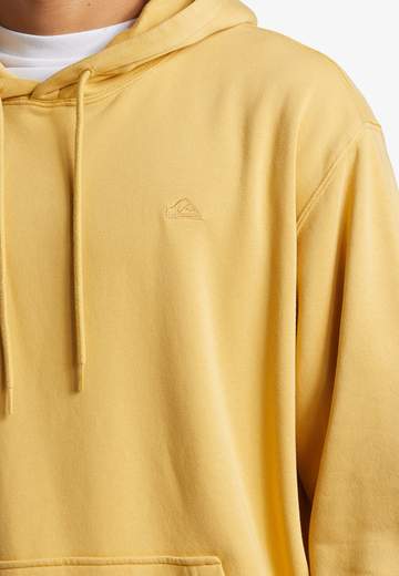 Quiksilver Salt Water Hoodie W24