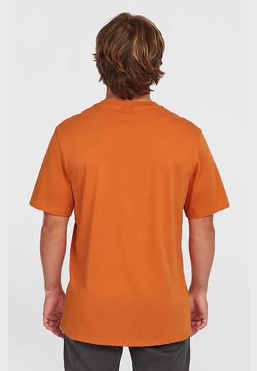 Oneill Original Cali Logo T-Shirt