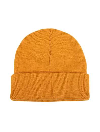 Iriedaily Smurpher Heavy Beanie