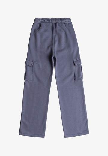 Roxy Hike Pant RG W24