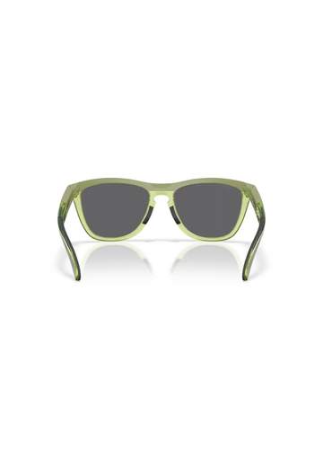 Oakley Frogskins Range XL Matte Fern Trans Fern Prizm Black