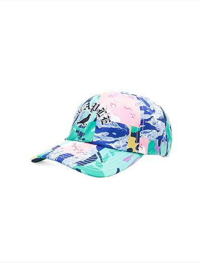 Staple Pigeon Rockaway Arch Cap