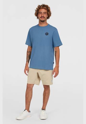 Oneill Originals Walk Shorts
