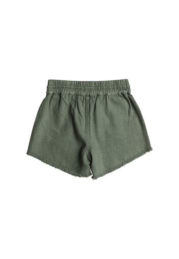 Roxy Shorts Scenic Route Twill RG SS24