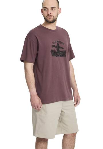 Volcom Billow Short 22 SS26