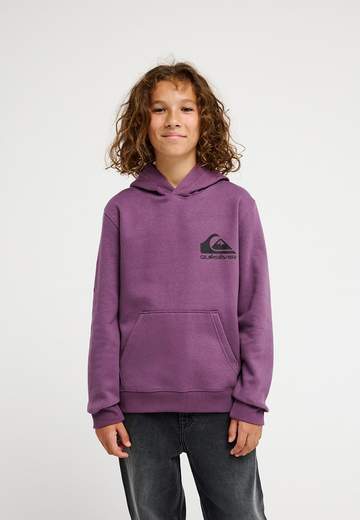 Quiksilver Omni Logo Hoodie Youth W26