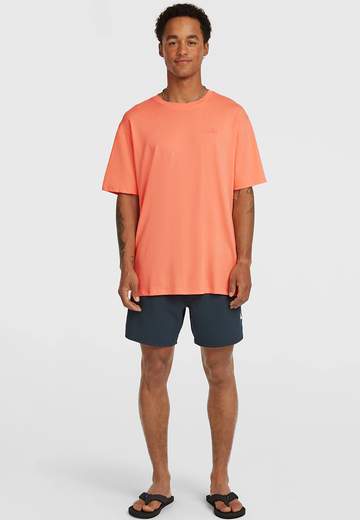 Oneill Small Logo T-Shirt SS26