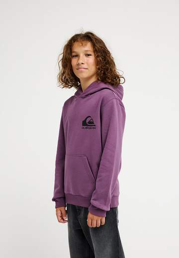 Quiksilver Omni Logo Hoodie Youth W26