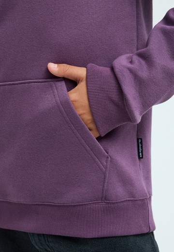 Quiksilver Omni Logo Hoodie Youth W26