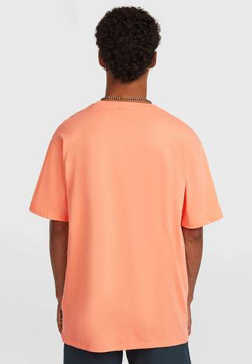 Oneill Small Logo T-Shirt SS26