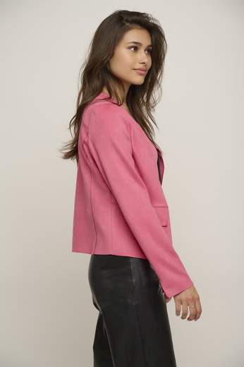 Rino & Pelle 29 BRISIA