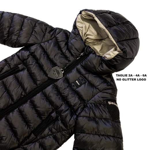 BLAUER 26WBLGC02295