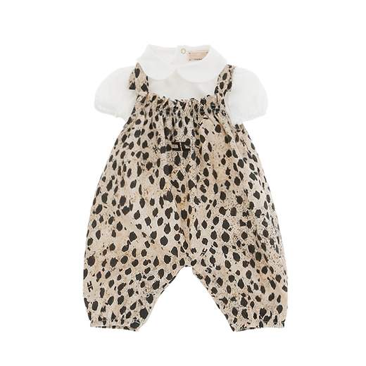 ELISABETTA FRANCHI ENCD118