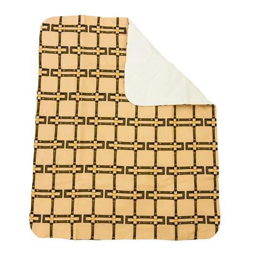 ELISABETTA FRANCHI ENCO084